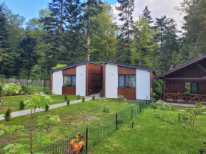 Chalet Amik Buşteni
